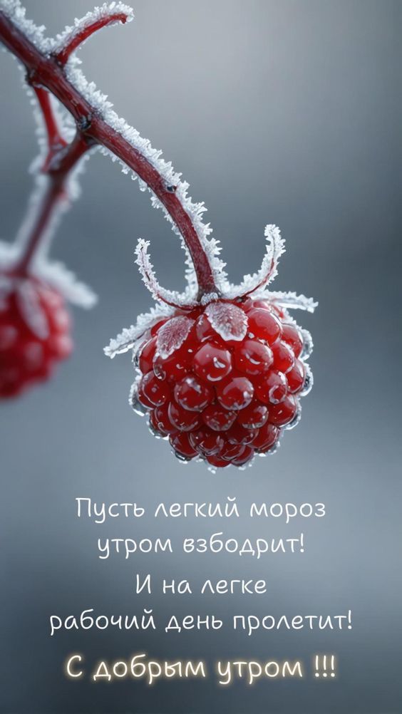 Оригинальные, неповторимые постеры и вдохновляющие картинки