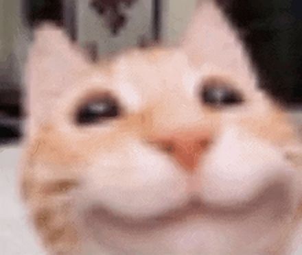 почом редис?