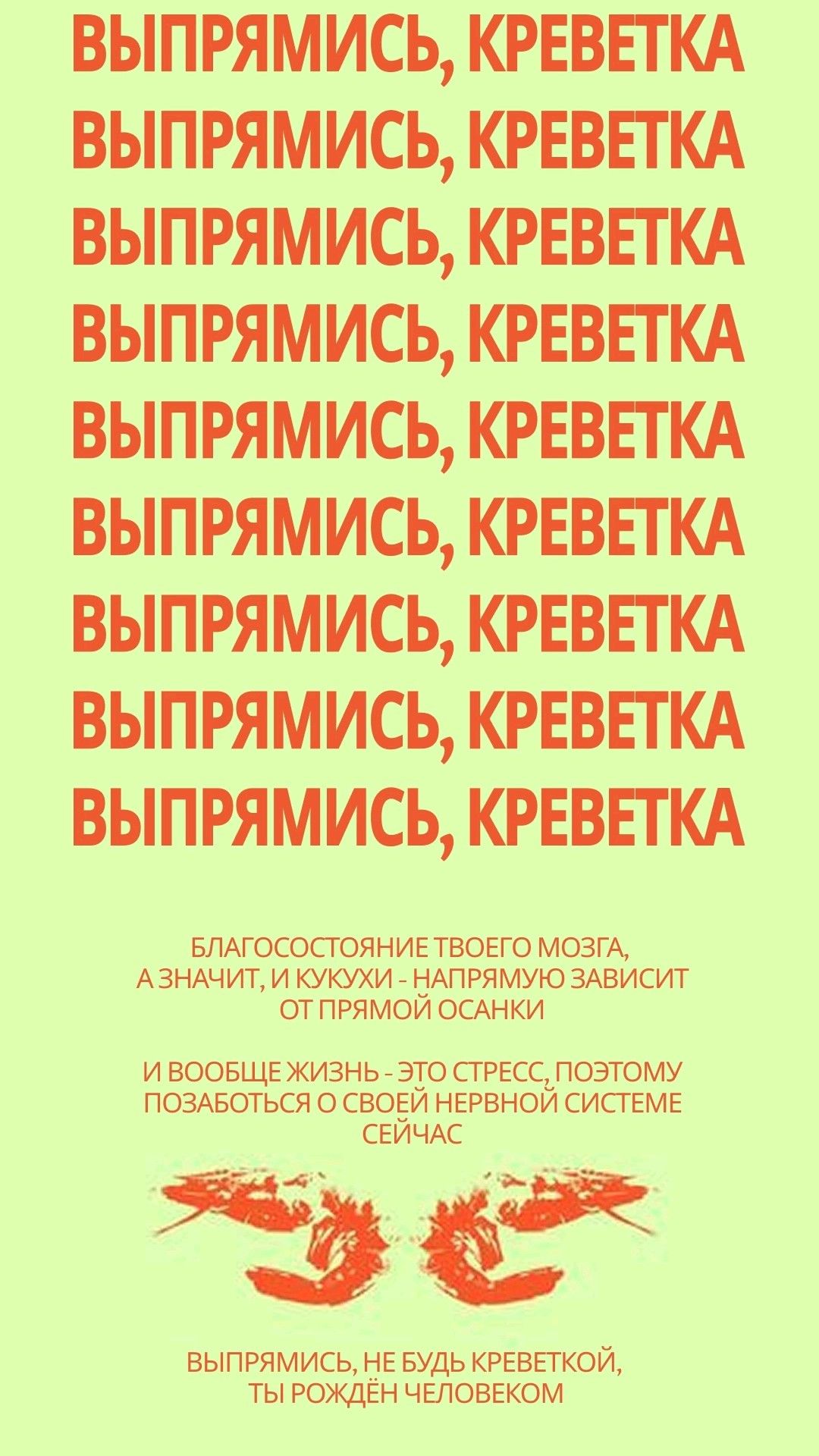 Выпрямись, креветка – адаптация под обои 1080х2400