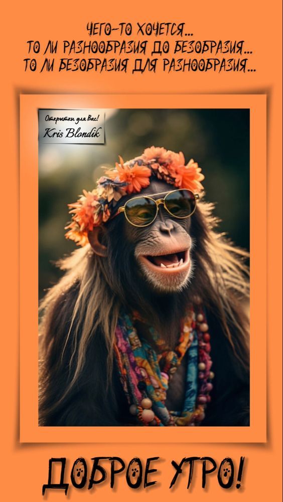 юмор очень смешно 179