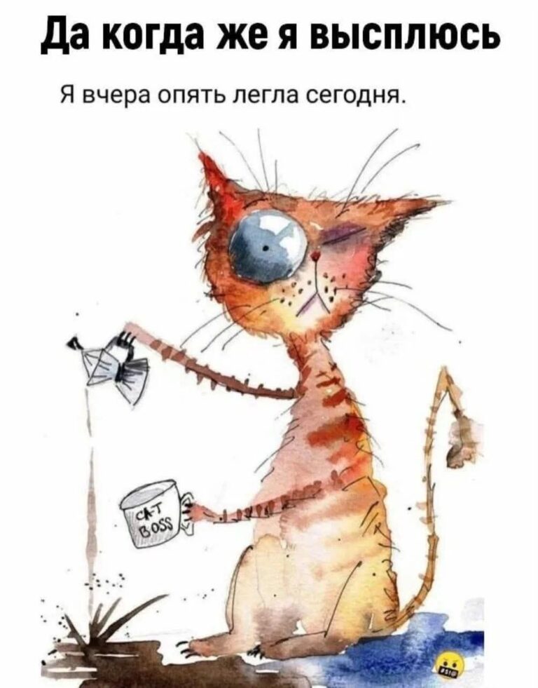 Коты/юмор про сон