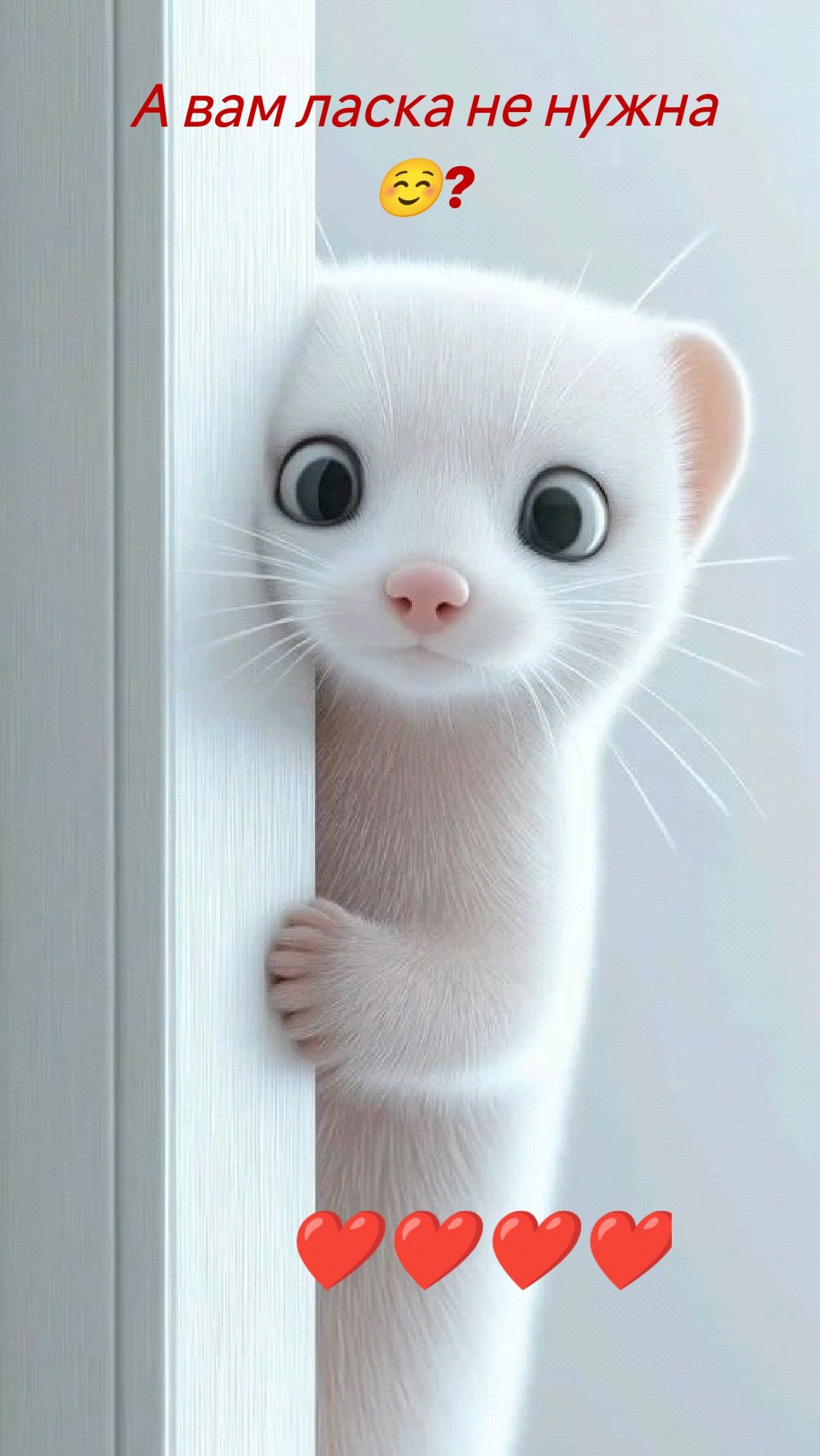 А вам ласка не нужна ☺️? ❤️❤️❤️❤️