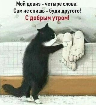 Мой девиз – четыре слова: Сам не спишь – буди другого! С добрым утром! – АйДаПрикол