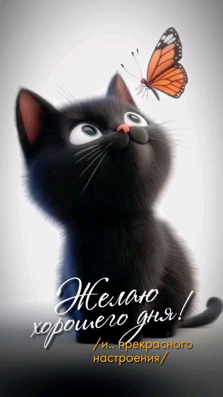 хорошего дня