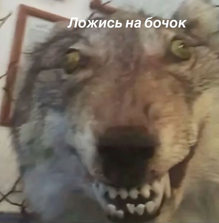 всем спокойной а я иду писать рассказ