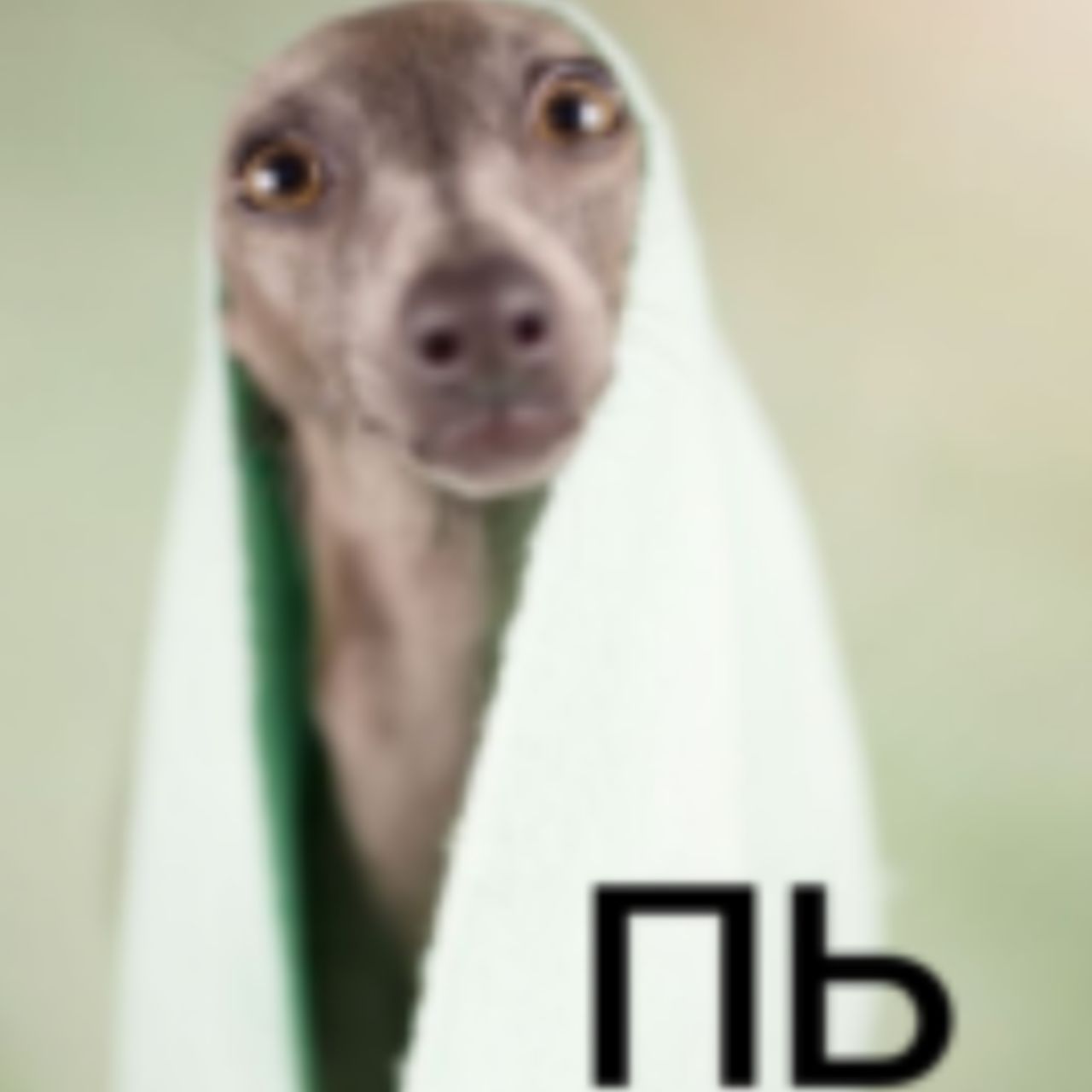 пь