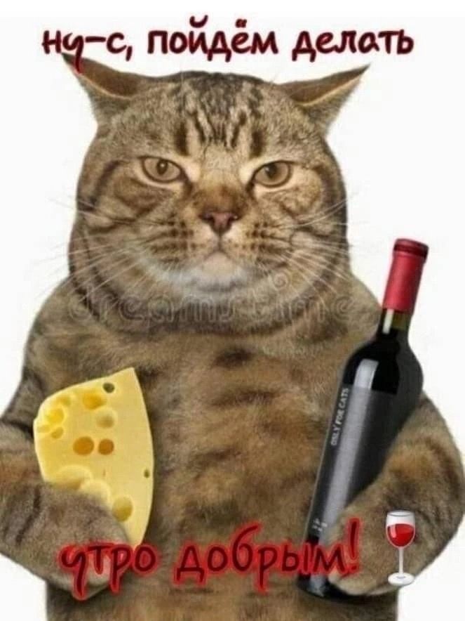 Доброе утро.