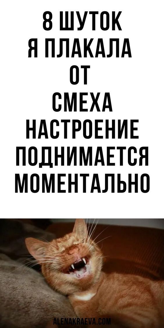 Плакала от смеха))