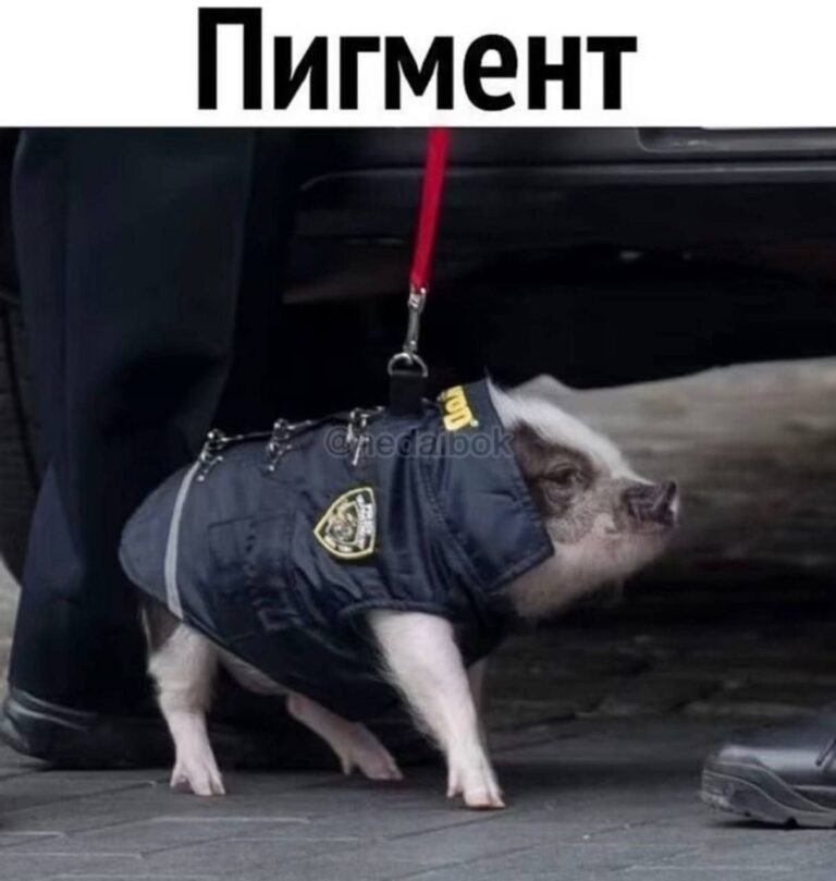 СОЗДАТЬ ЭМОДЗИ СТИКЕРЫ | КРУЖОК ИЗ ВИДЕО