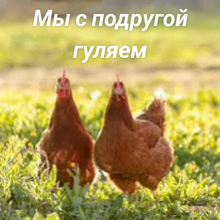 Мы с подругой гуляем