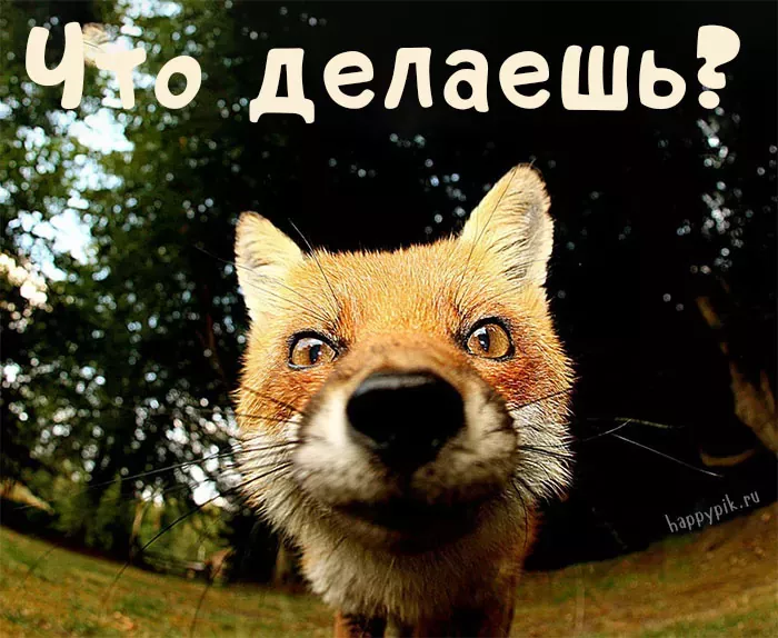 Картинки с надписью Что делаешь – скачать