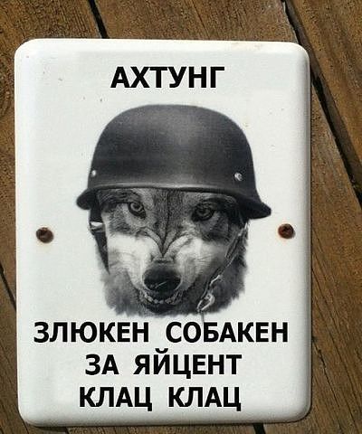 картинки смешные864