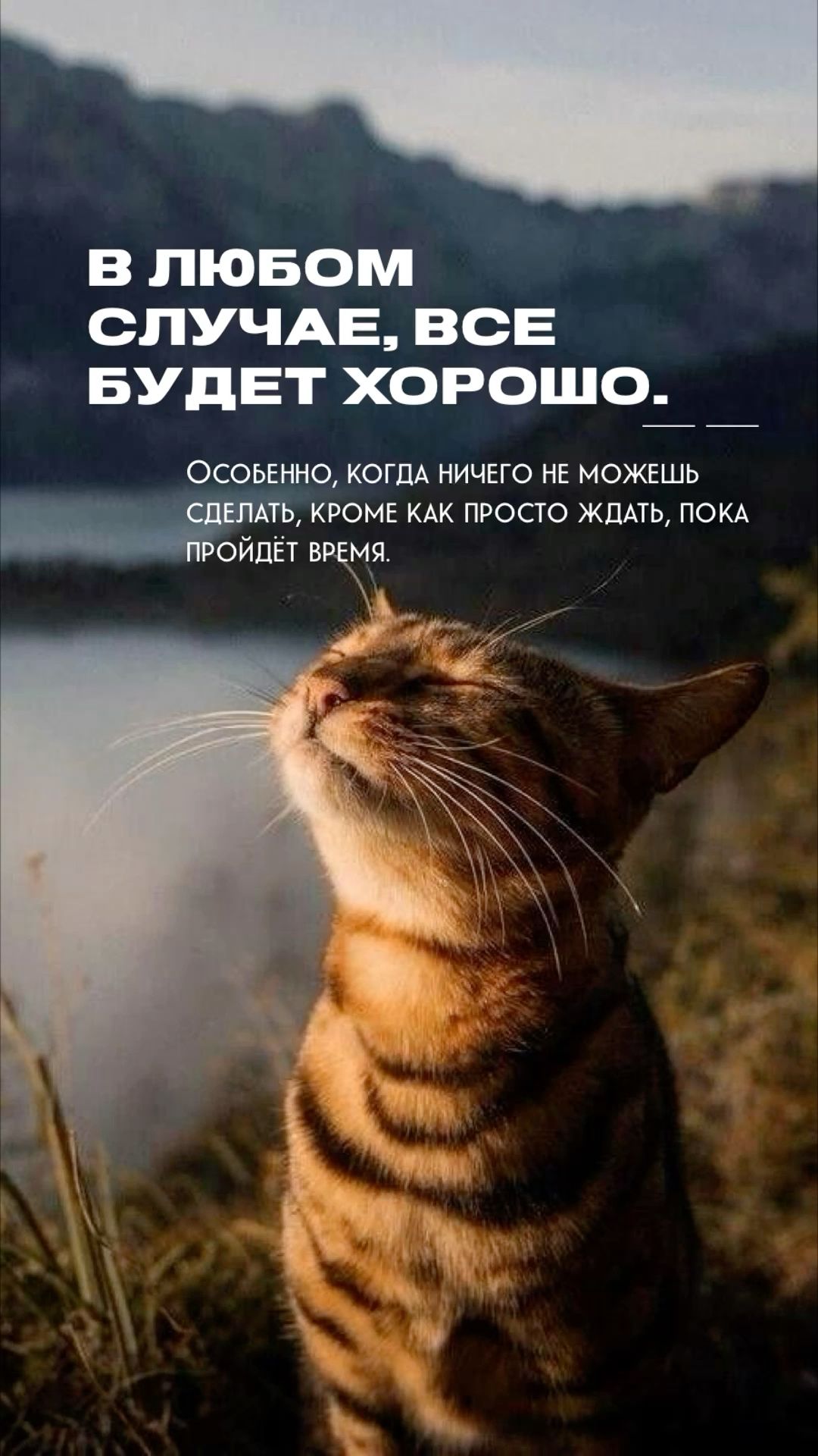 Все будет хорошо