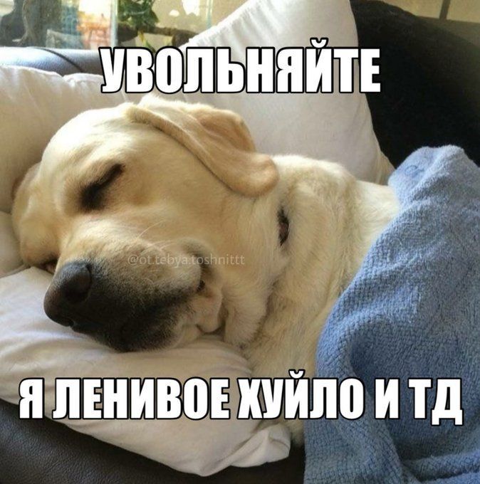 Увольняйте