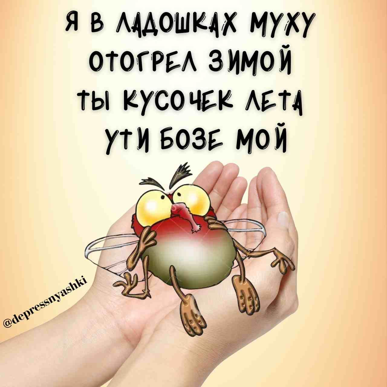 Стишок мухалюбный.