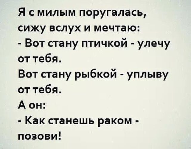 Лента по интересам – Юмор – 2410222 – Tabor.ru