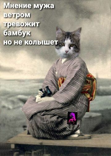 Женский юмор