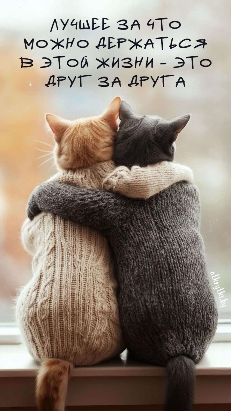 Философские картинки с ГЛУБОКИМ СМЫСЛОМ на разные темы