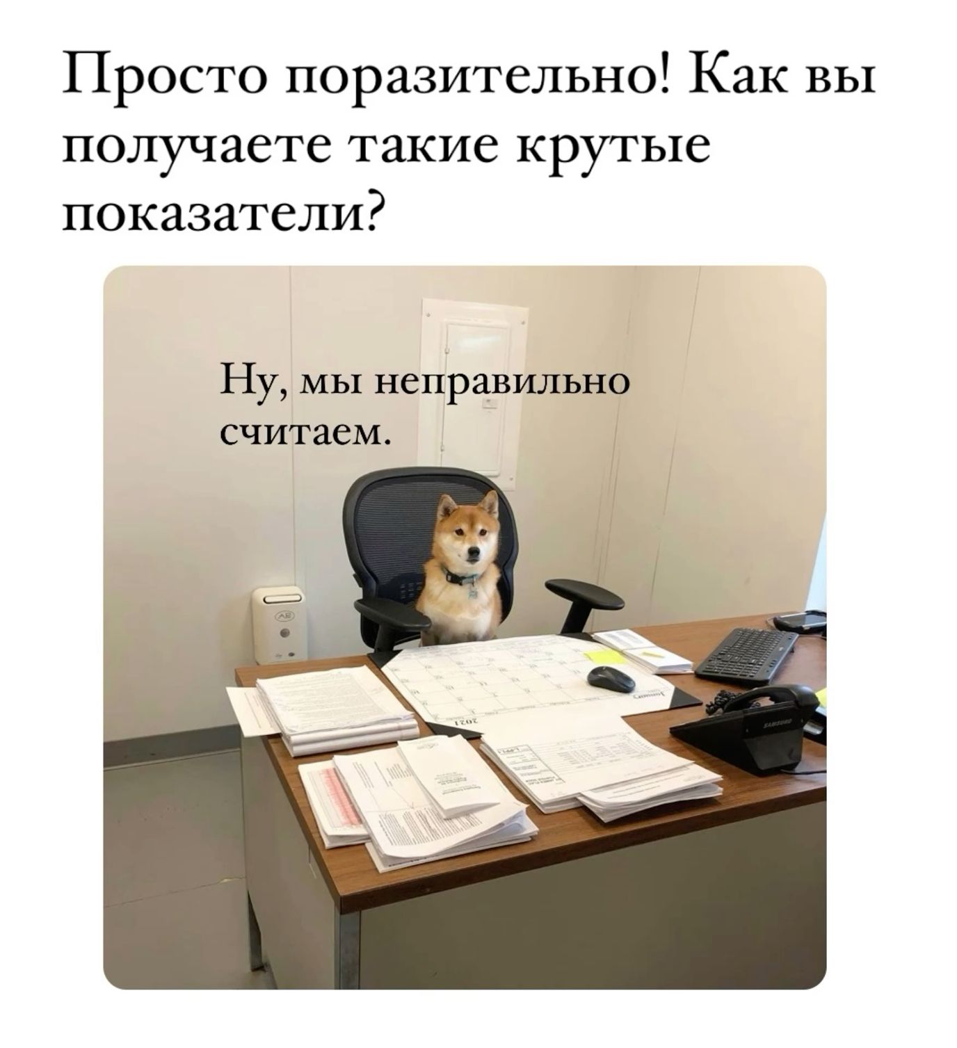 Мем с собачкой