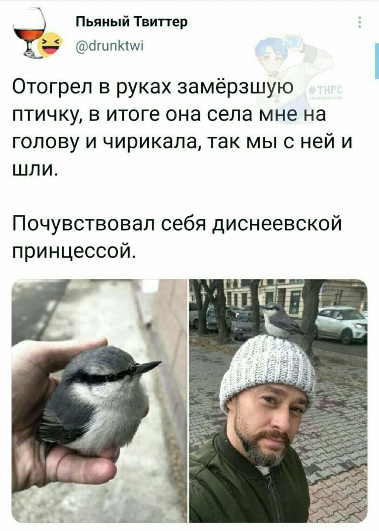 Диснеевские принцессы ААААА ~