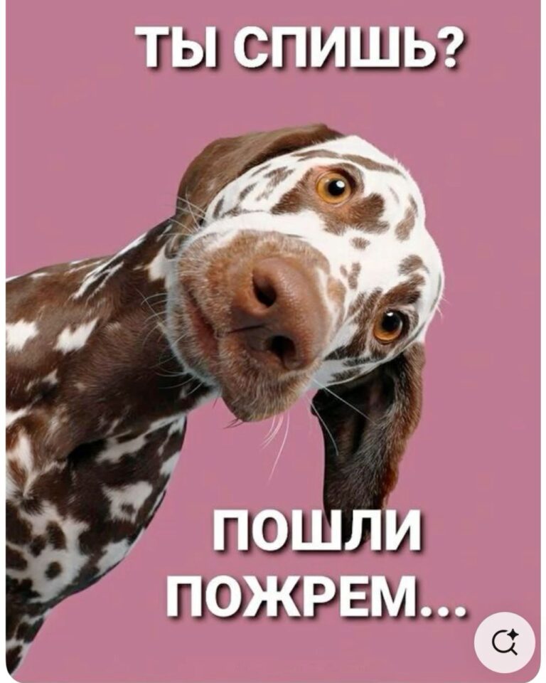 Позитивная ночь