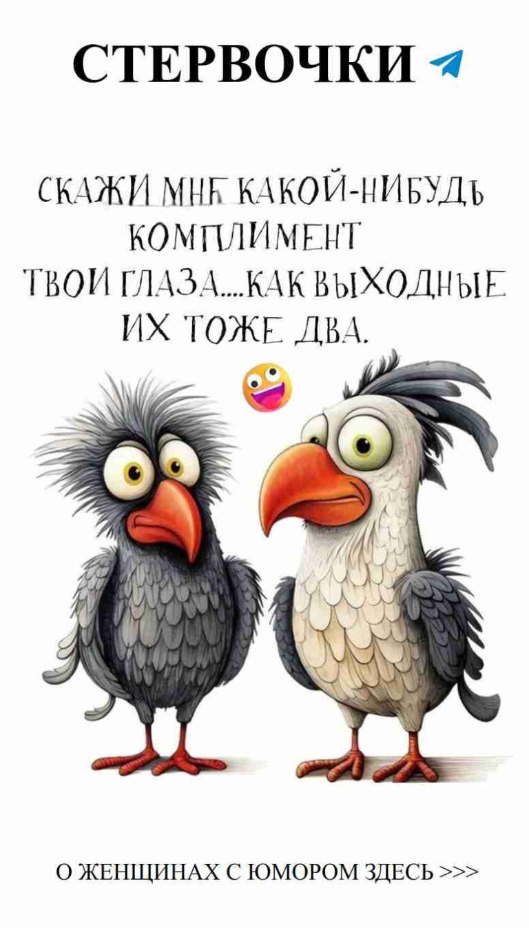 Когда любовь смешивается с юмором жизнь становится веселее