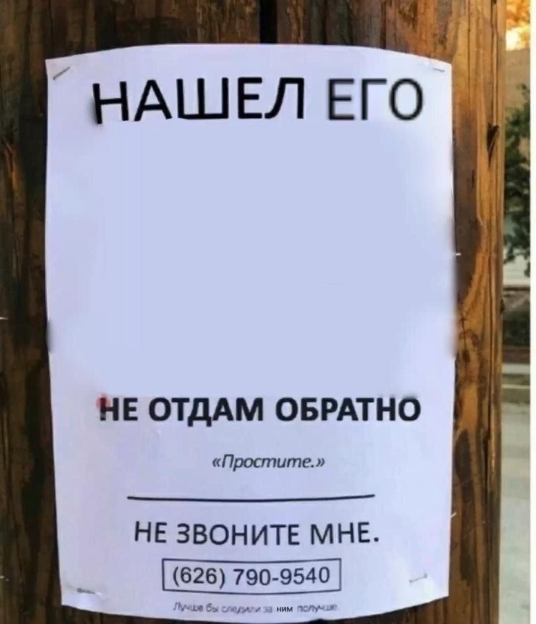 Нашёл его!😁
