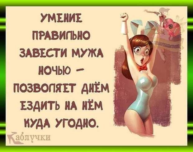 Каждый раз, когда девушка отказывает в свидании хорошему парню, где-то в мире рождается котёнок, …