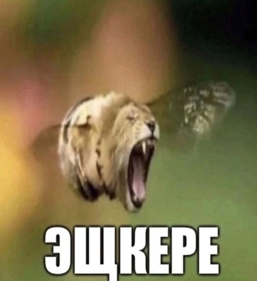 eblo p4elotigra oryot ESHKERE