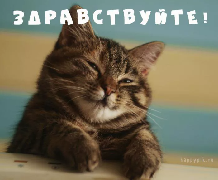 Красивые картинки Здравствуйте – скачать бесплатно