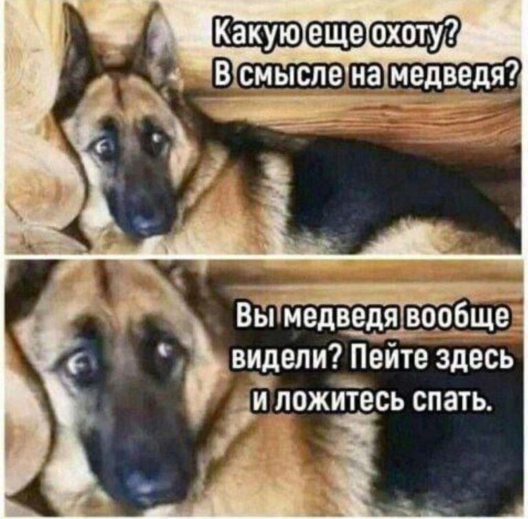 Мемы про охоту