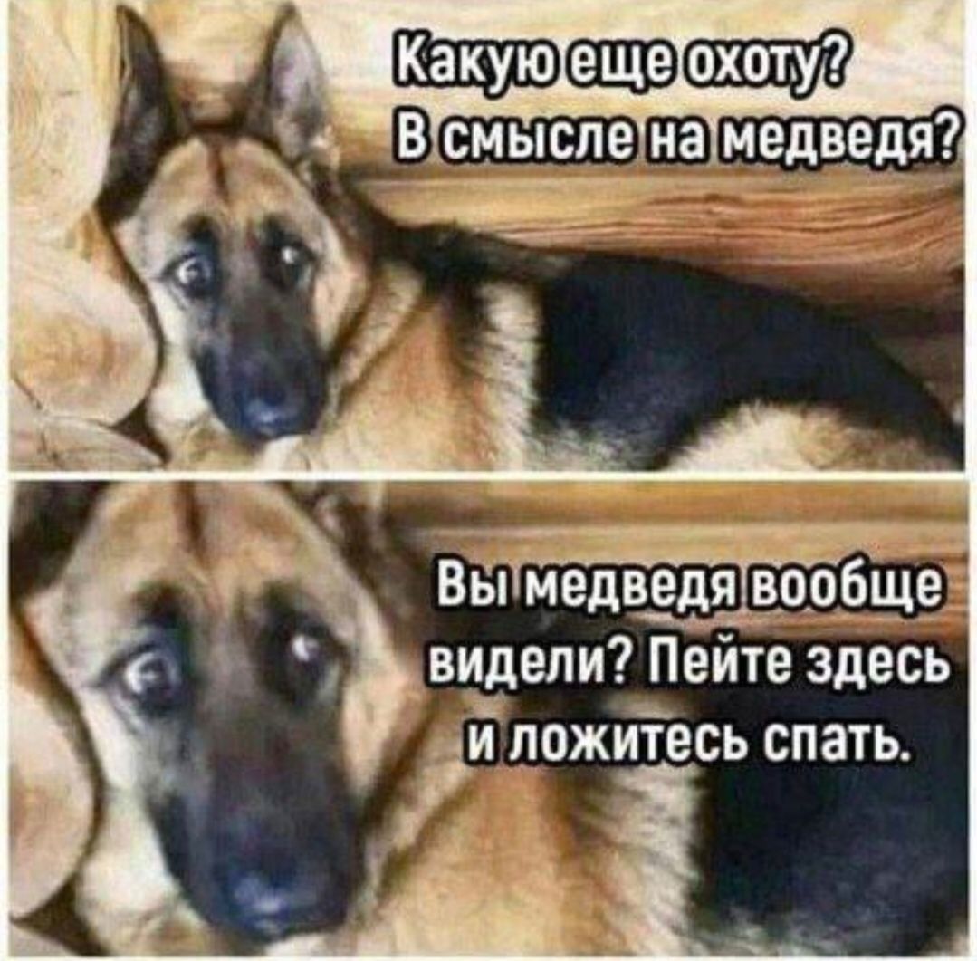 Мемы про охоту