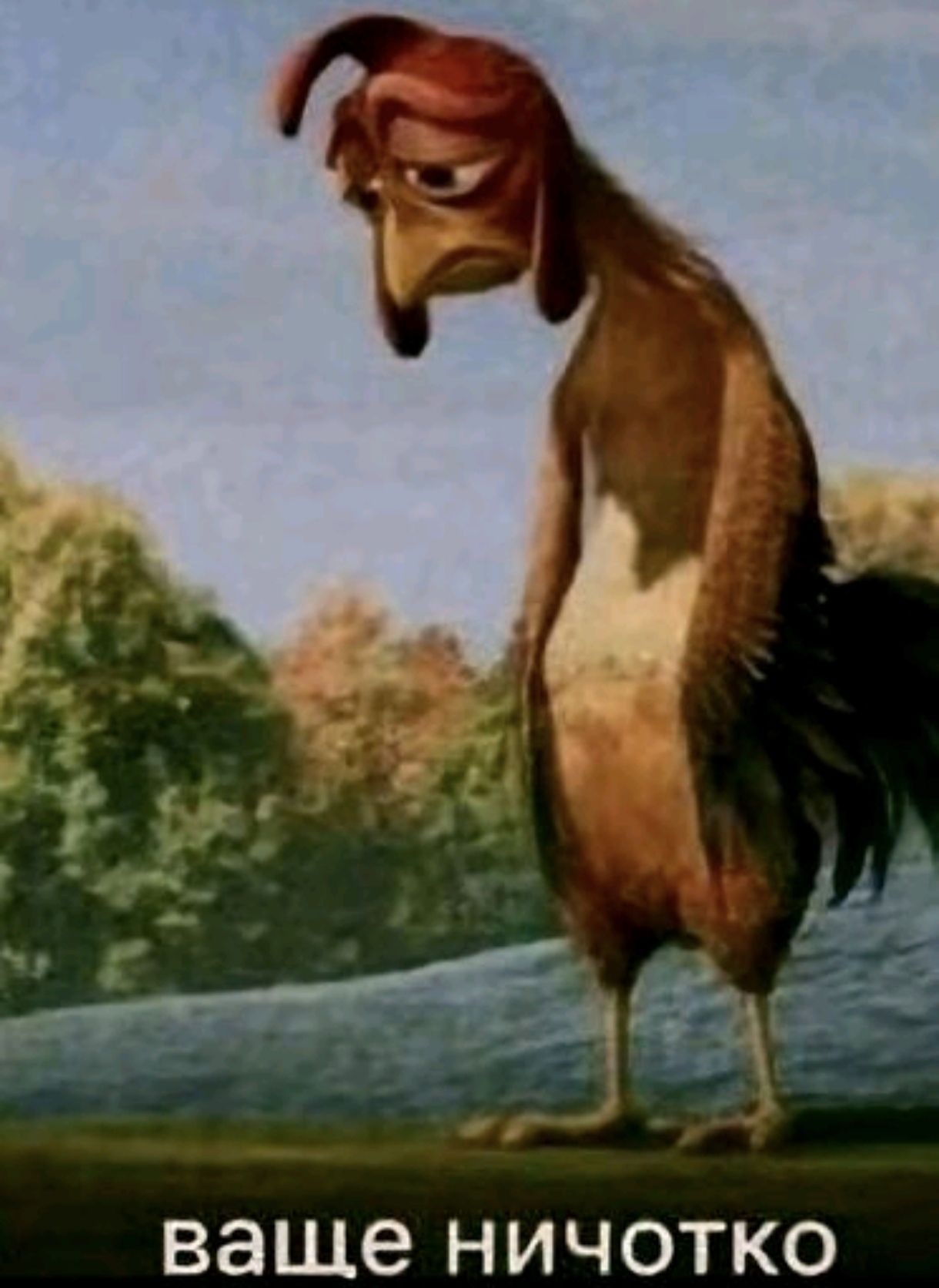 Visit TikTok to discover profiles!