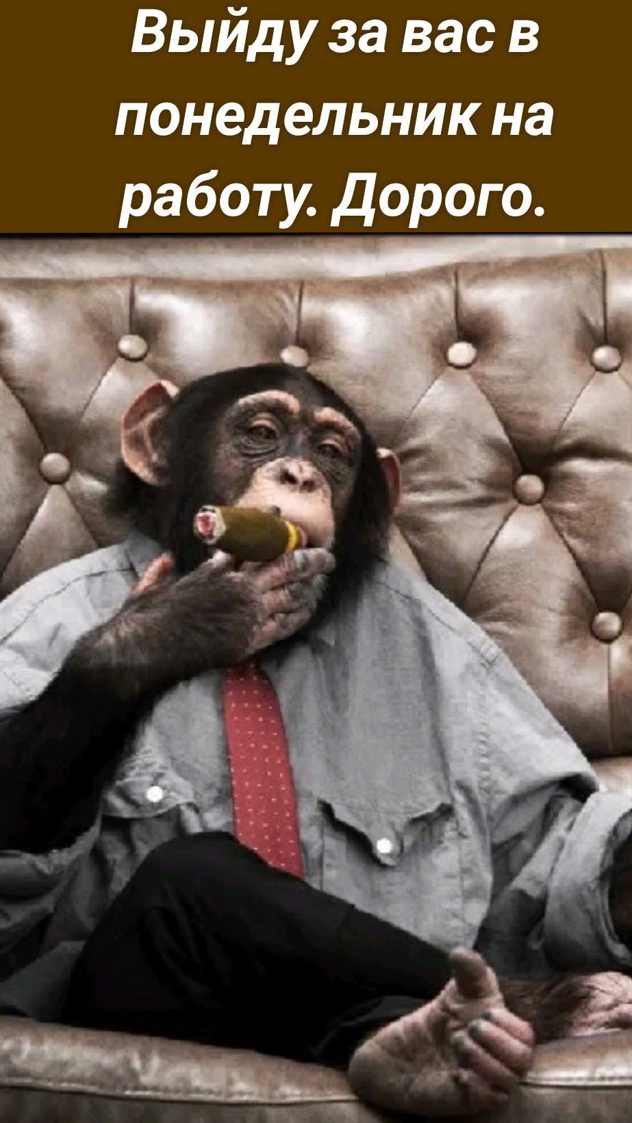 Скайнет в 1win тут😂 Выйду за вас в понедельн🫠жми