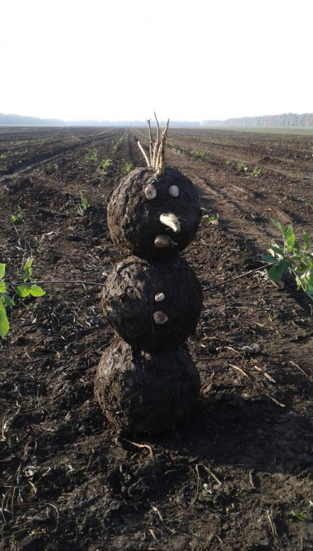 Порция картинок – ЯПлакалъ