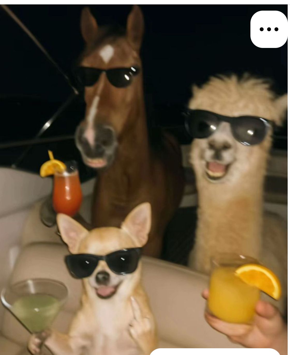 So sieht meine Freundesgruppe aus