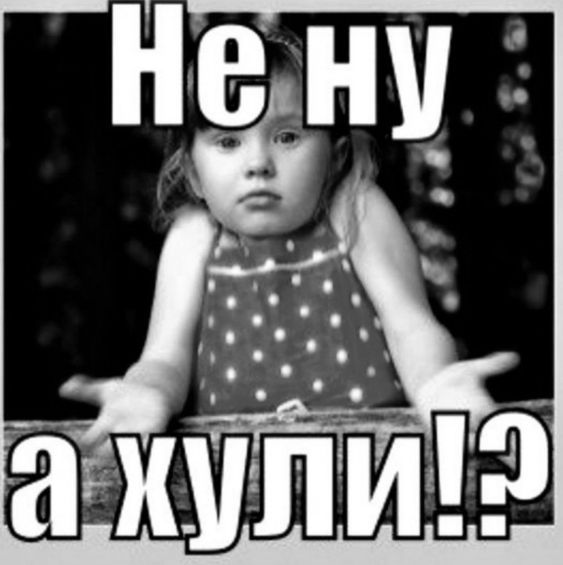 картинки смешные800