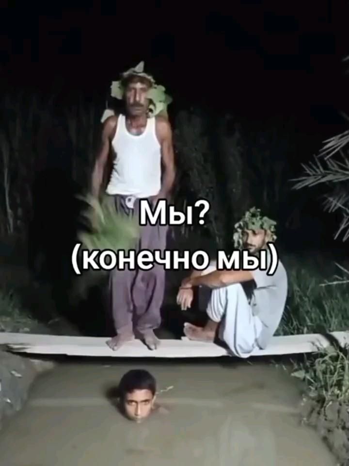мы? (это не вопрос!)