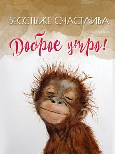 Прикольные картинки Доброе утро 👍 😄 – скачать