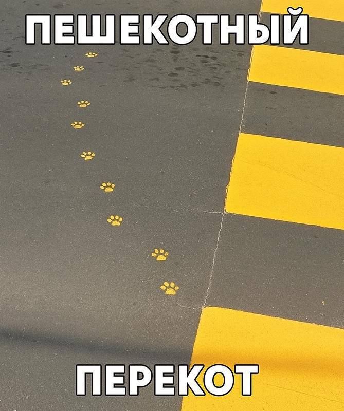 МЕМЫ КАЖДЫЙ ДЕНЬ