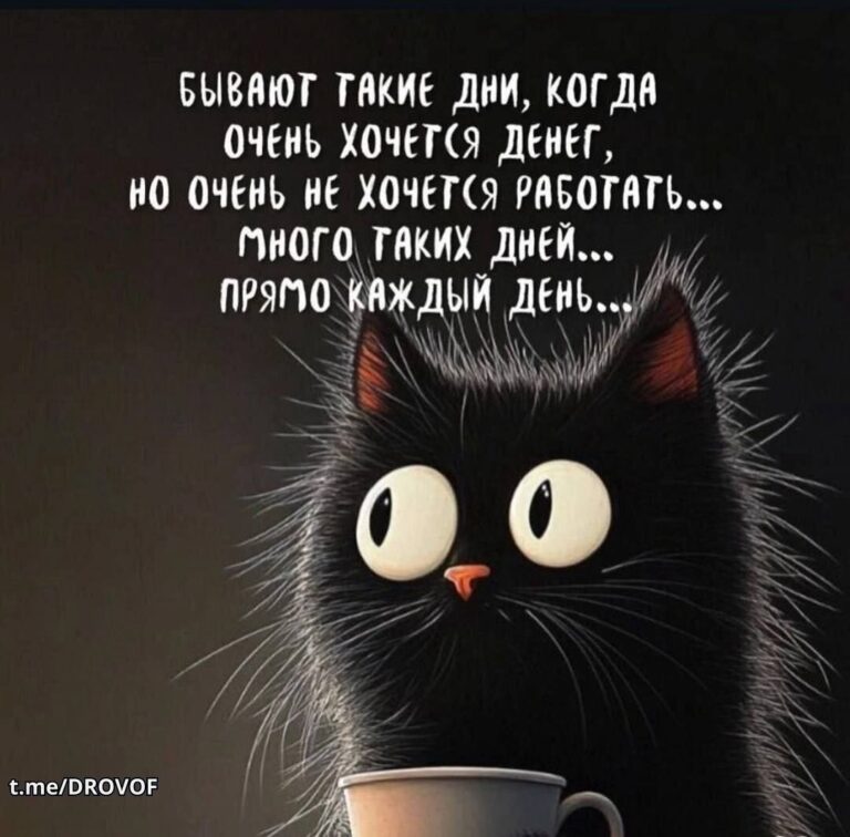 Скайнет в 1win тут😂 Женский юмор🫠жми