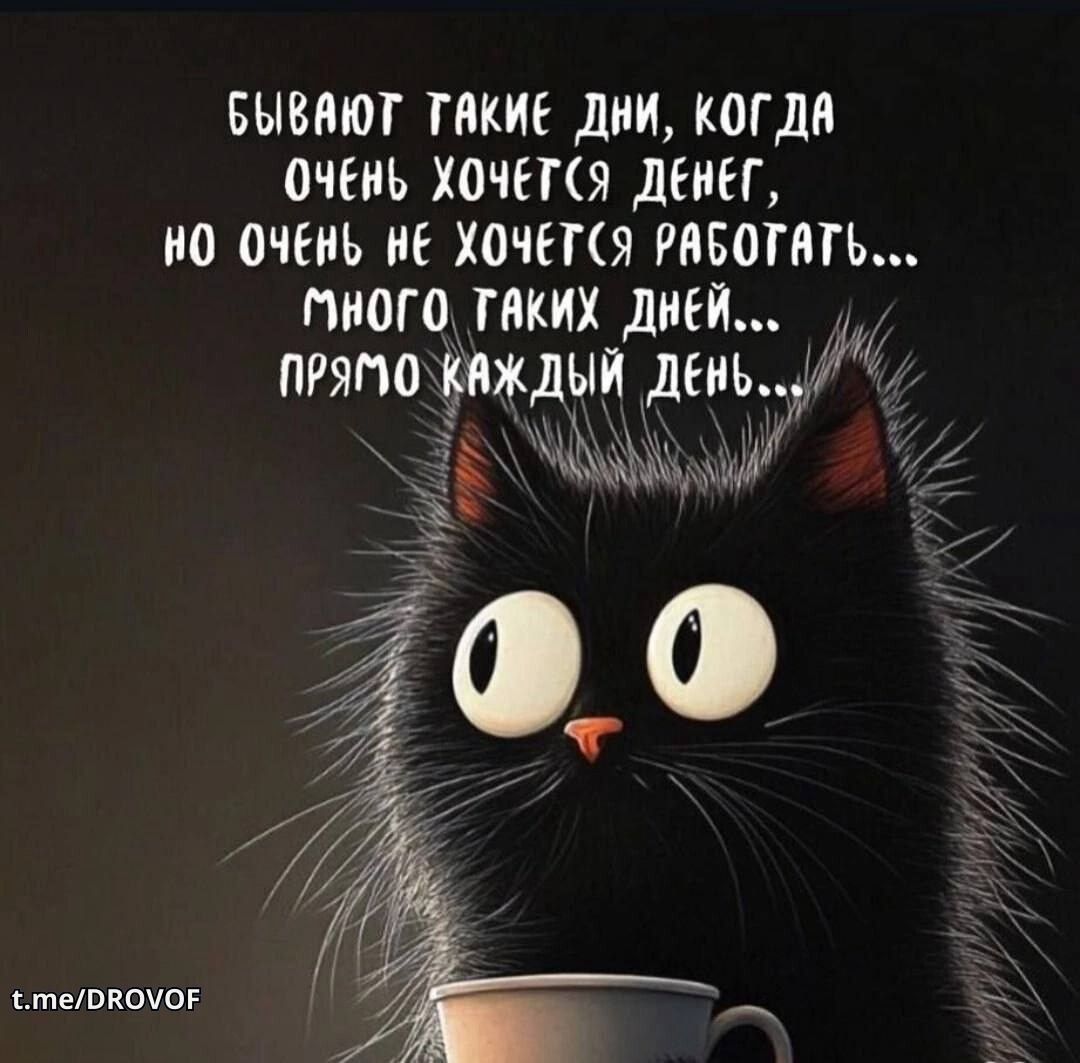 Скайнет в 1win тут😂 Женский юмор🫠жми