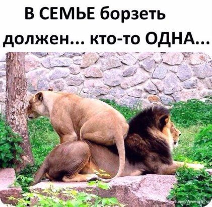 Социальная сеть Одноклассники. Общение с друзьями в ОК. Ваше место встречи с одноклассниками