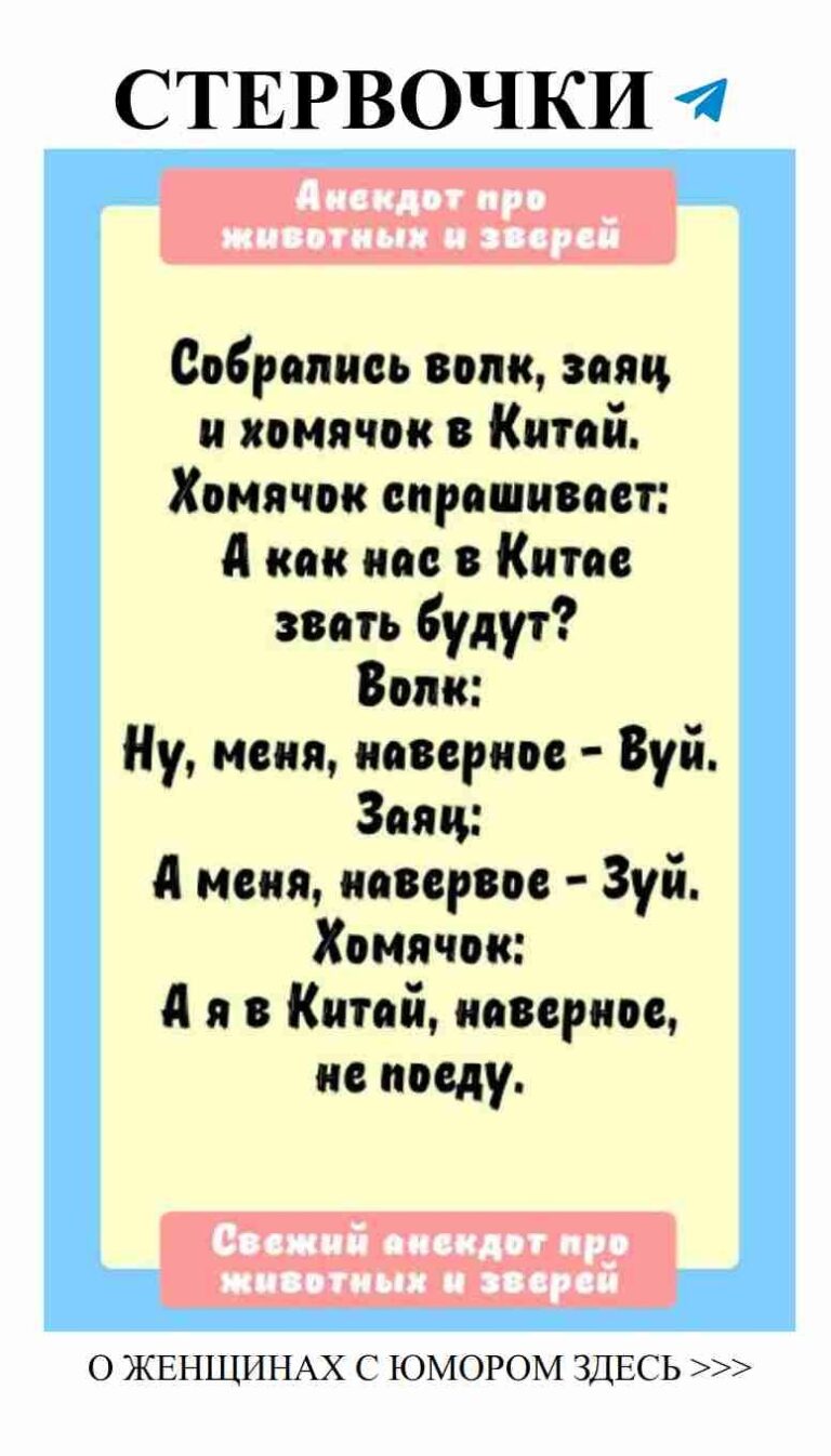 Женский юмор: смешные анекдоты про животных и любовь
