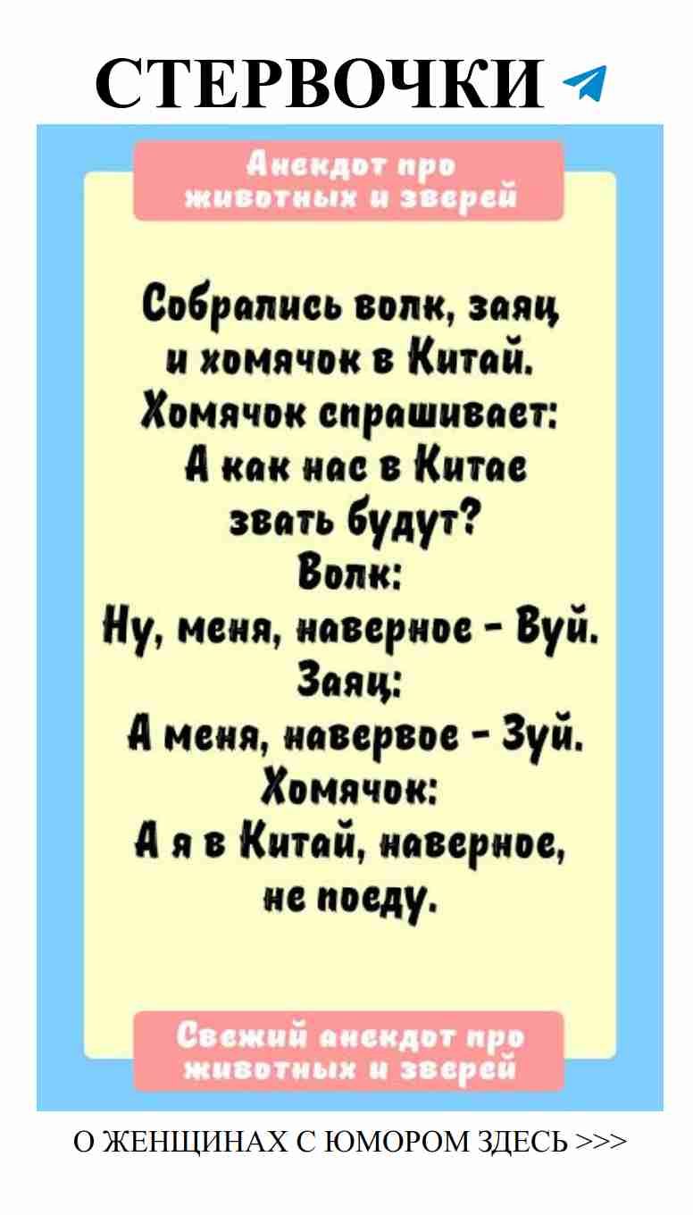 Женский юмор: смешные анекдоты про животных и любовь