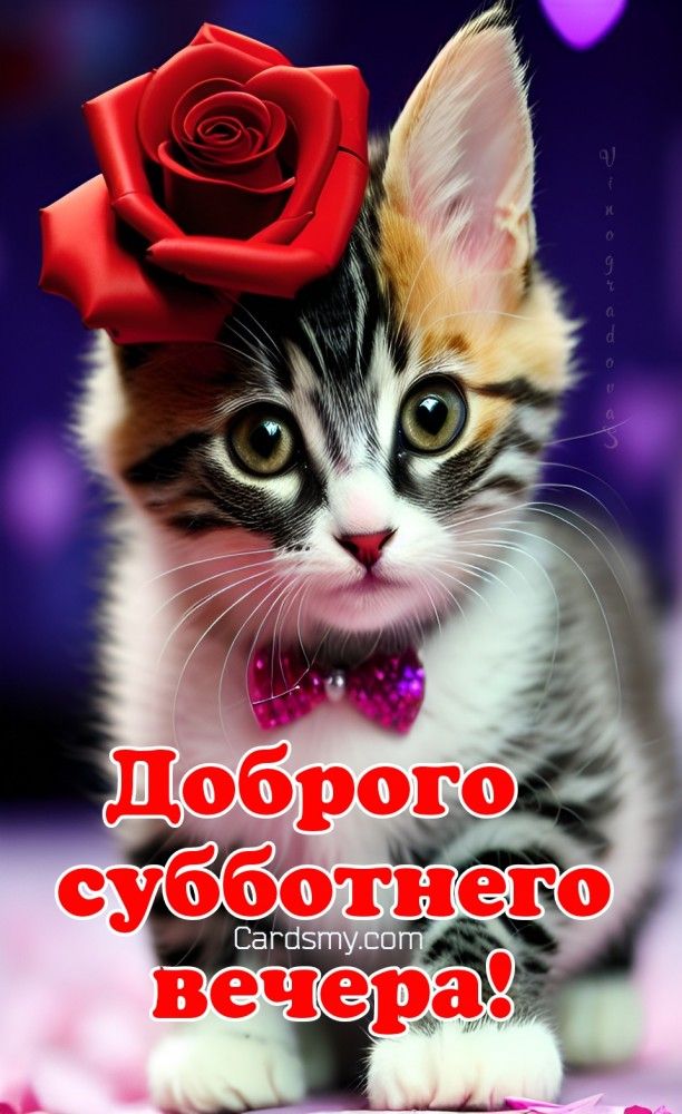 Доброго субботнего вечера – Добрые современные открытки