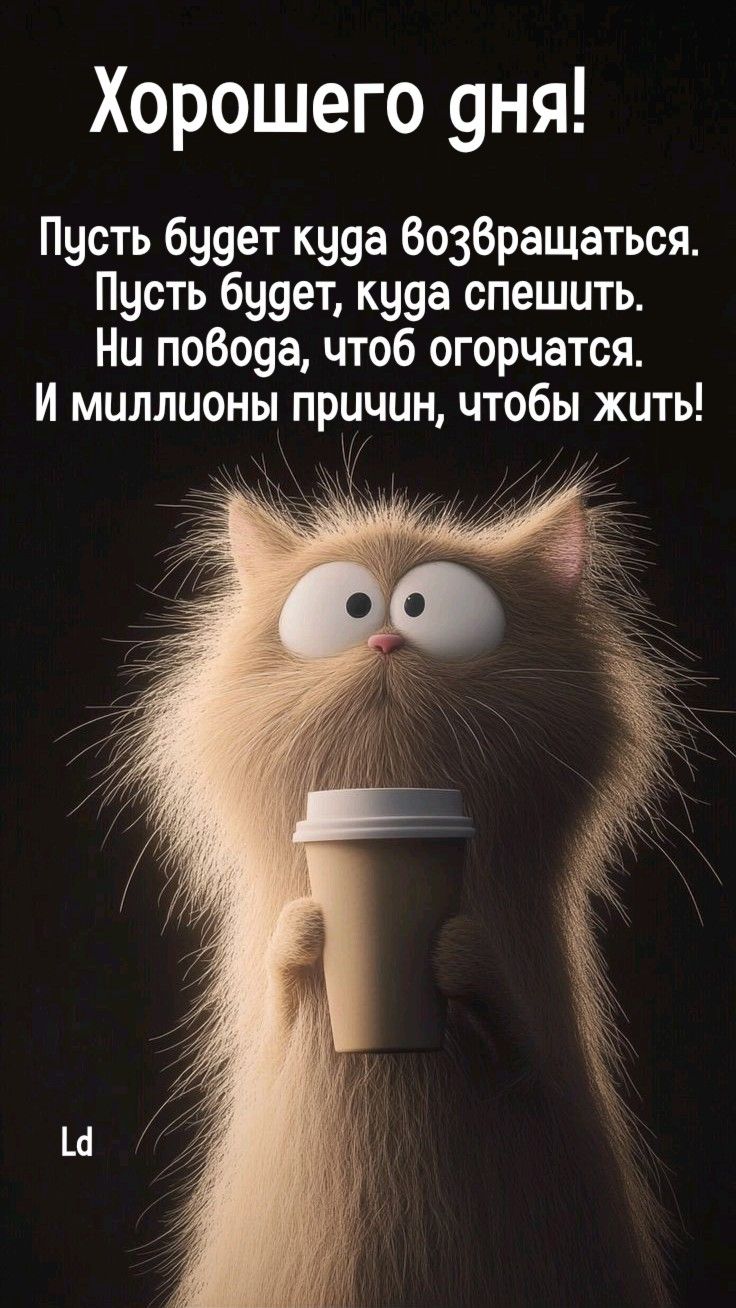 Хорошего дня