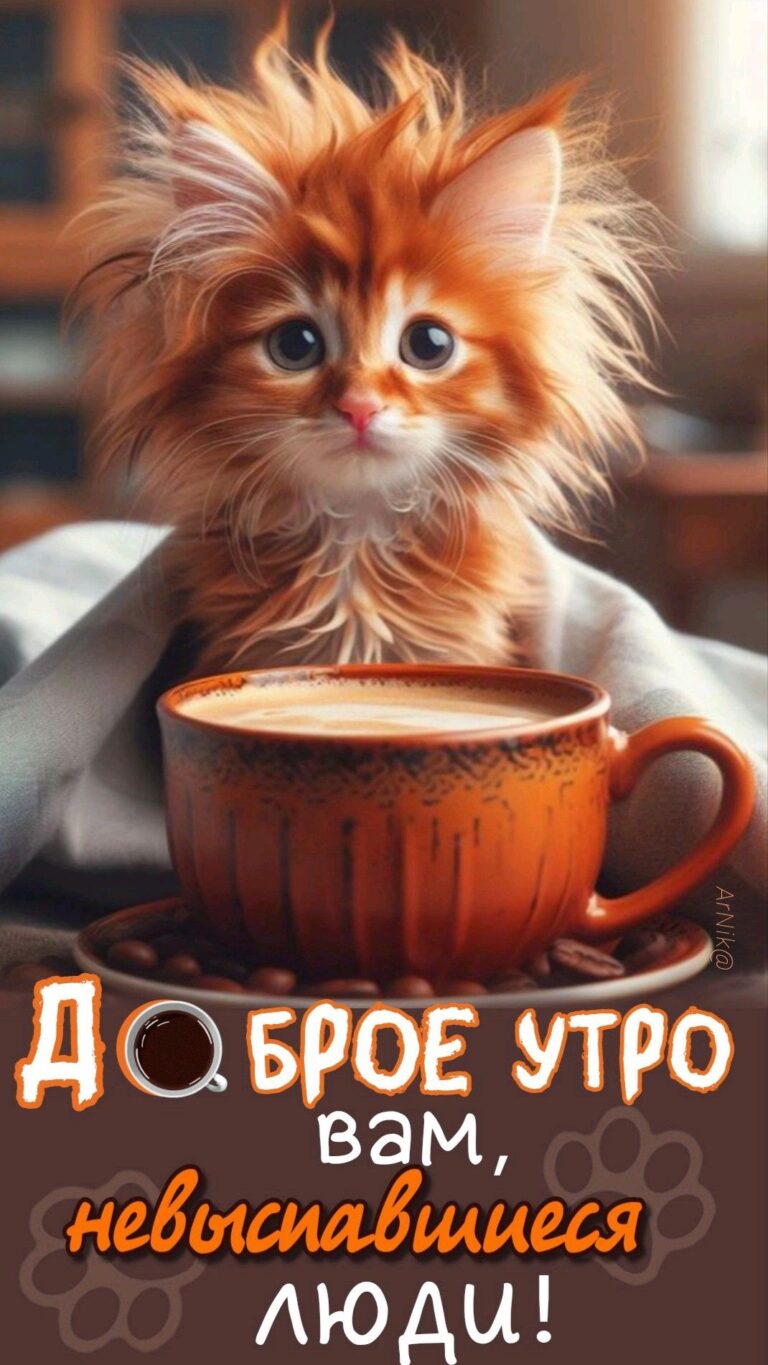 Доброе утро! 😍🙃😺
