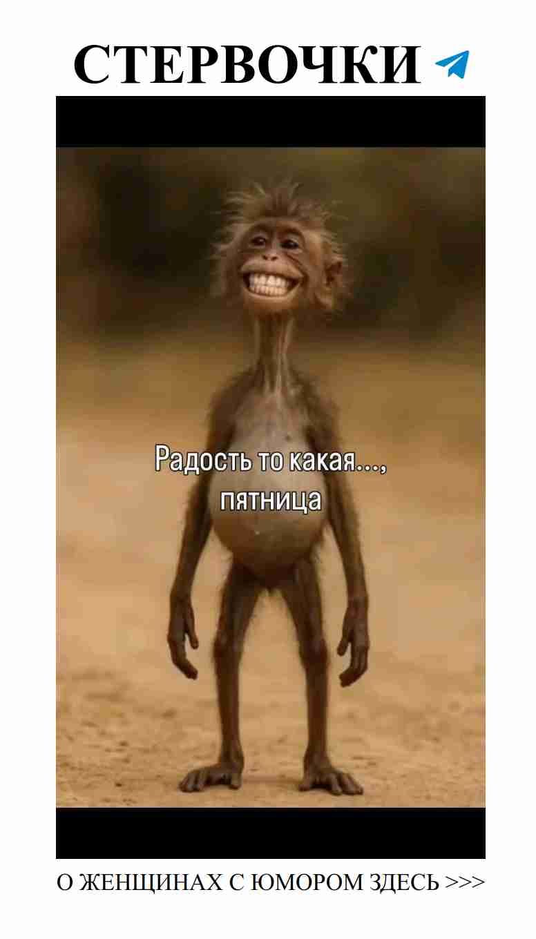 Пятница – время для смеха, любви и веселья