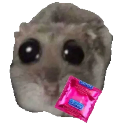 Cтикеры телеграм Грустный хомяк